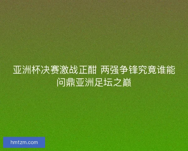 亚洲杯决赛激战正酣 两强争锋究竟谁能问鼎亚洲足坛之巅